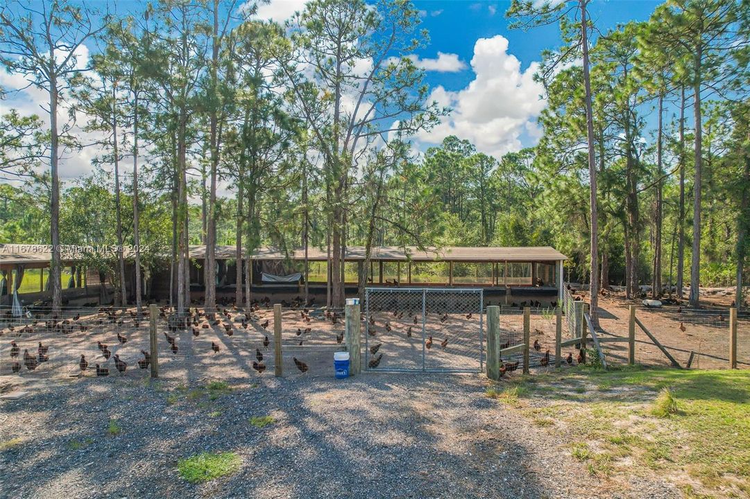 For Sale: $950,000 (4 beds, 2 baths, 2356 Square Feet)