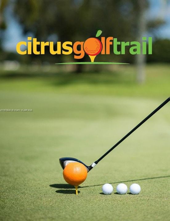 There’s no shortage of things to do in Sebring! As part of Florida’s 'Citrus Trail,' Sebring is home to the Citrus Golf Trail—offering unique terrain and scenic courses for golfers of all levels. It’s truly an undiscovered gem for golf lovers!