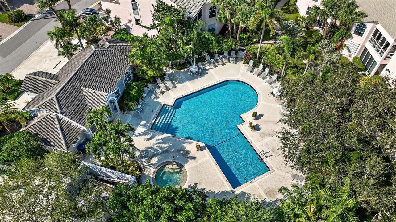 Aerial view of pool