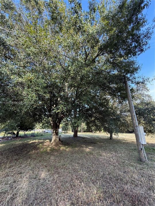 For Sale: $95,000 (1.03 acres)