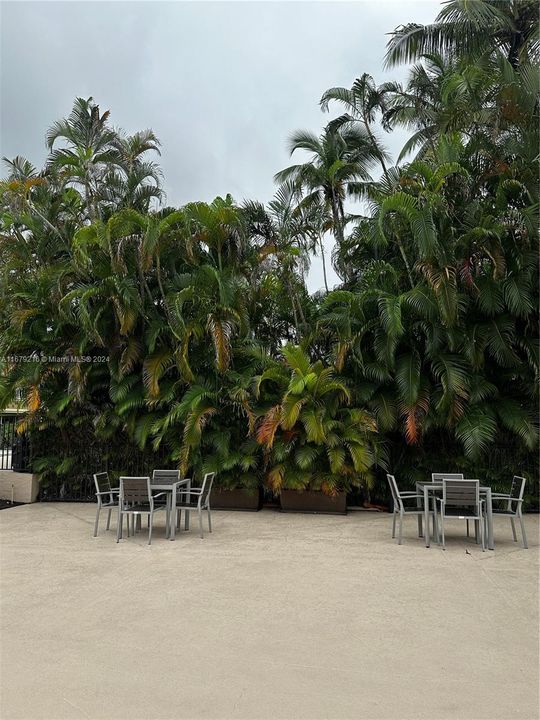 最近租的: $1,850 (1 贝兹, 1 浴室, 735 平方英尺)