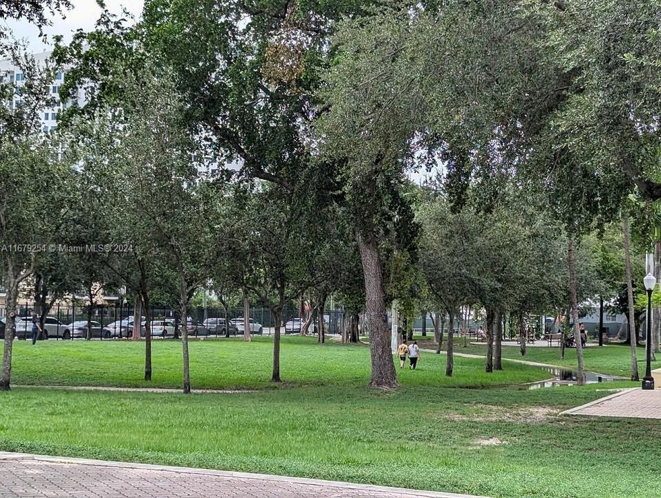 Community Park