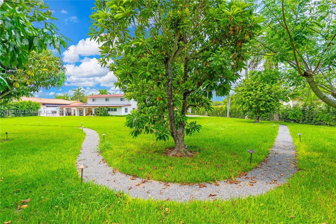 Pathway through yard and many fruit trees