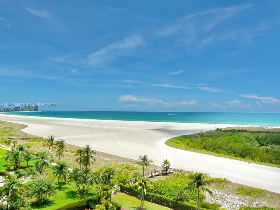 beach area in marco island