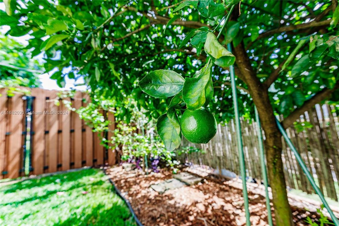 For Sale: $1,325,000 (3 beds, 2 baths, 1622 Square Feet)