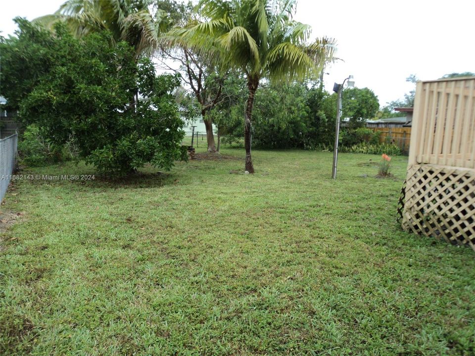 Very Large Backyard ( Left Side)