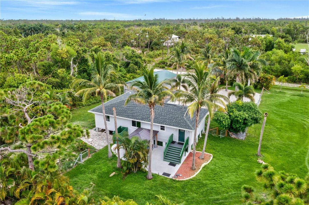 Bird's eye view of the rear home - covered ramada with mature and majestic palm trees and a lush sprawling lawn.