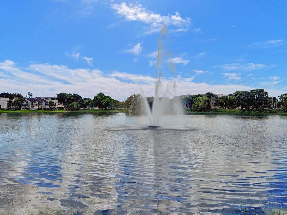 Entrance Fountain