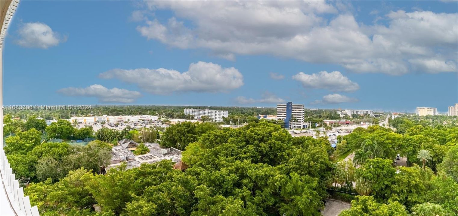 Garden and City View