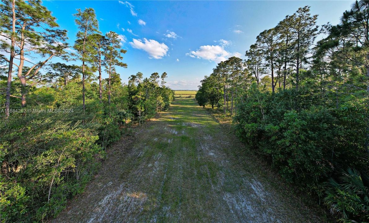 Dirt road to access your plot