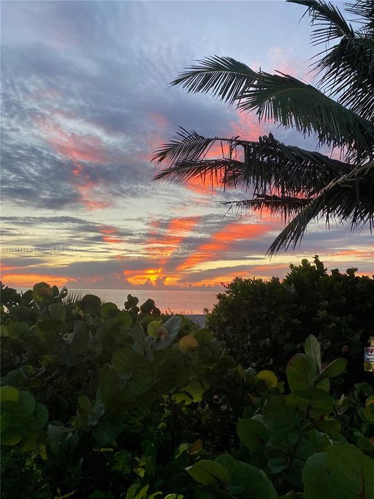 最近售出: $39,900,000 (8 贝兹, 9 浴室, 10537 平方英尺)