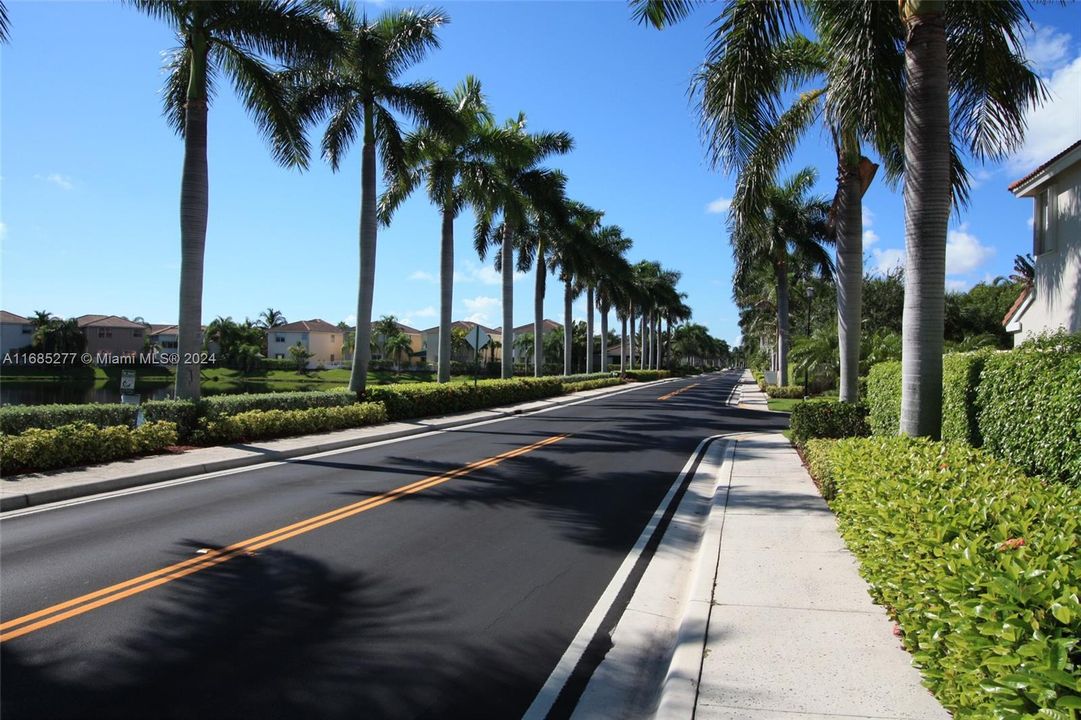 Royal Palm lined West Lake Drive