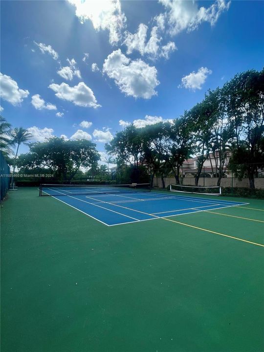 Tennis court