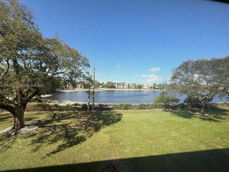 View from the lanai