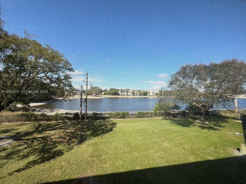 View from the lanai