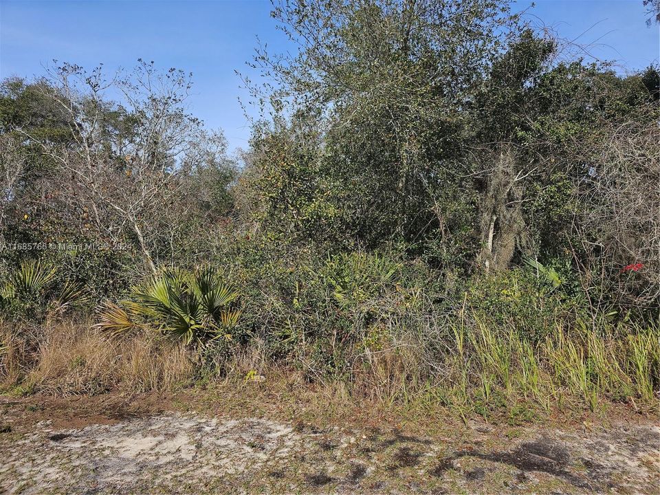 For Sale: $36,000 (0.02 acres)