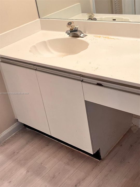 Master Bedroom sink