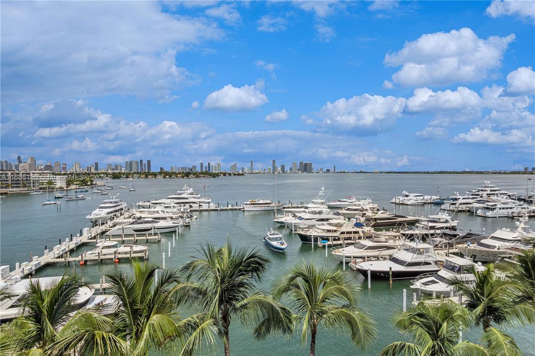 marina view from pool deck