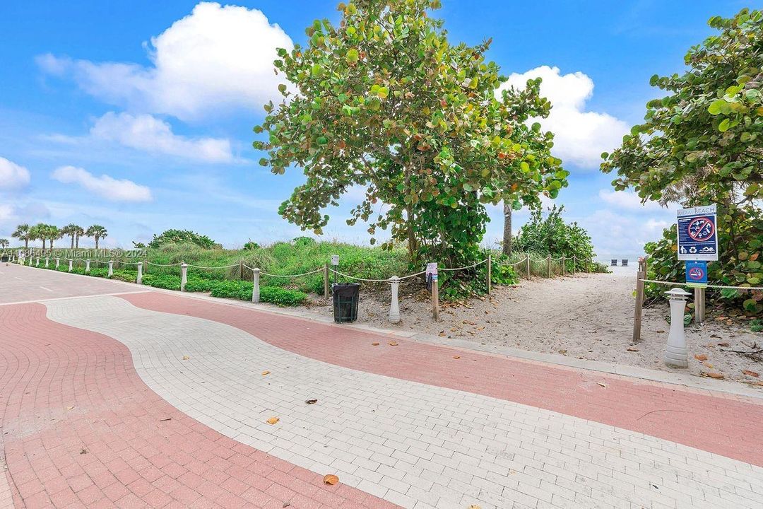 Boardwalk behind the building