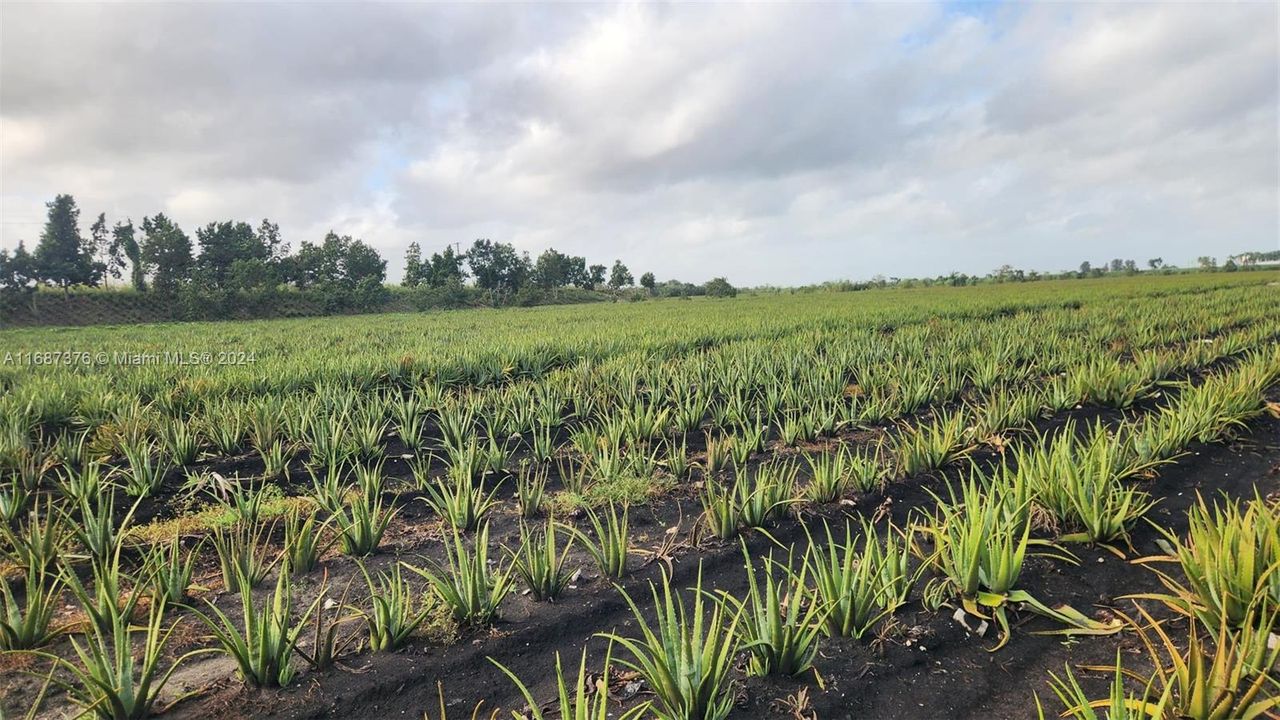 For Sale: $3,000,000 (0 beds, 0 baths, 0 Square Feet)