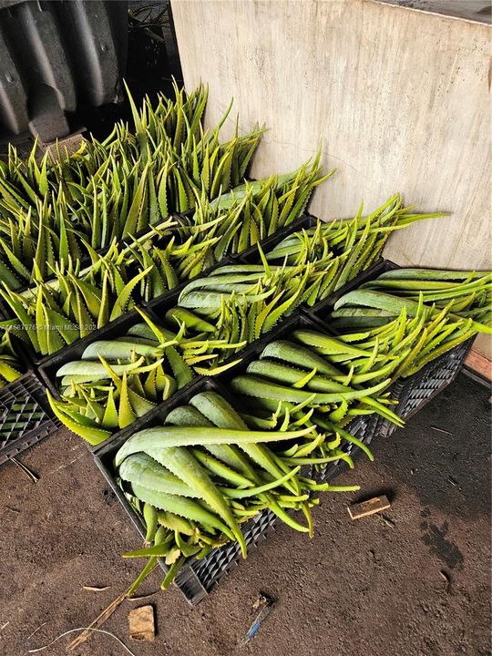 For Sale: $3,000,000 (0 beds, 0 baths, 0 Square Feet)