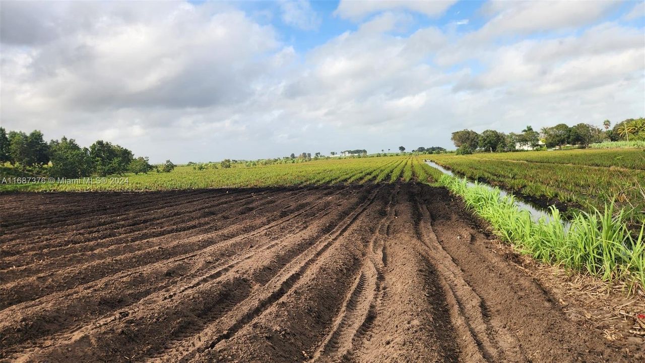 For Sale: $3,000,000 (0 beds, 0 baths, 0 Square Feet)