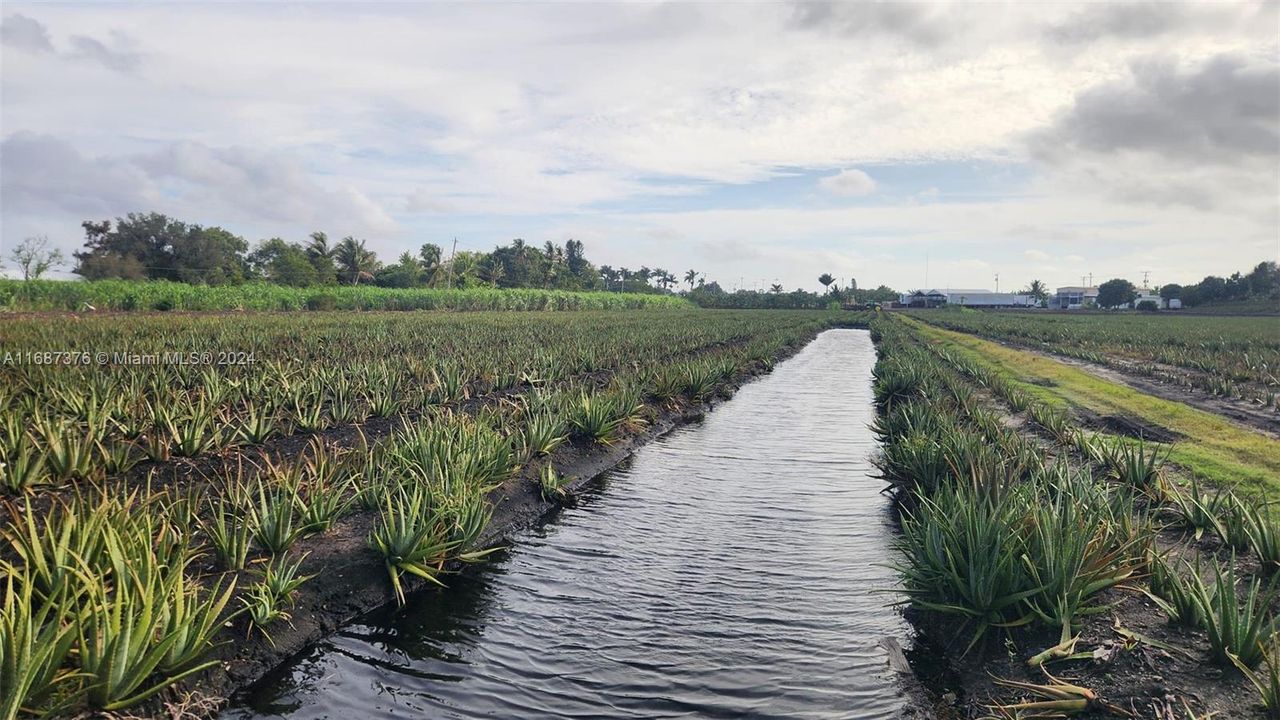 For Sale: $3,000,000 (0 beds, 0 baths, 0 Square Feet)