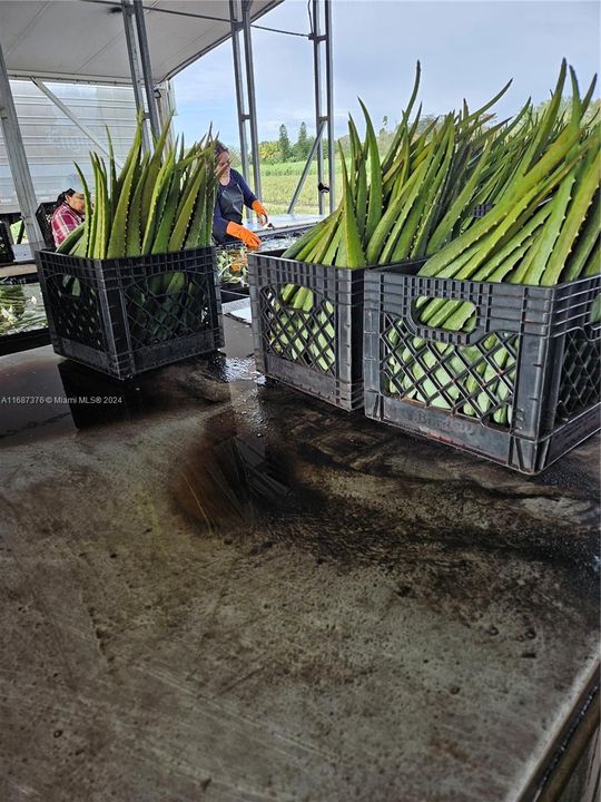 For Sale: $3,000,000 (0 beds, 0 baths, 0 Square Feet)