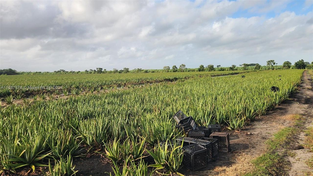 For Sale: $3,000,000 (0 beds, 0 baths, 0 Square Feet)