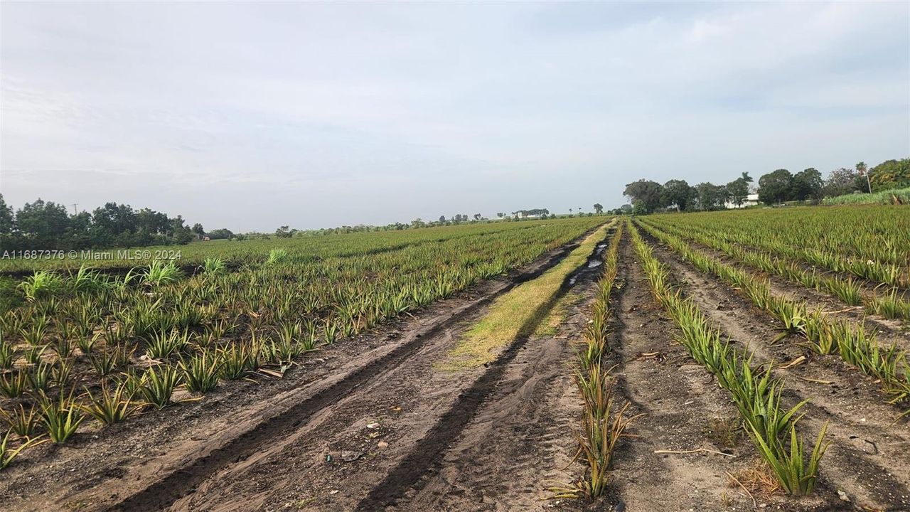 For Sale: $3,000,000 (0 beds, 0 baths, 0 Square Feet)