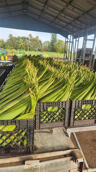 For Sale: $3,000,000 (0 beds, 0 baths, 0 Square Feet)