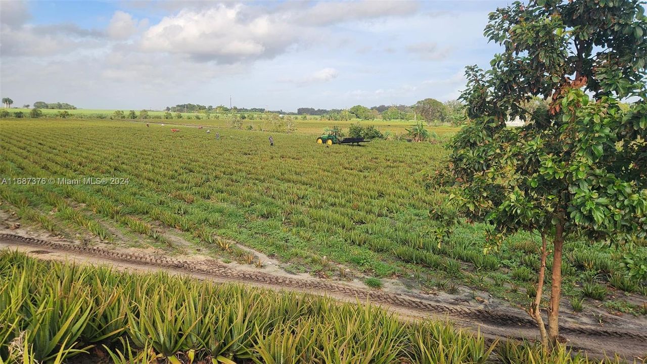 For Sale: $3,000,000 (0 beds, 0 baths, 0 Square Feet)