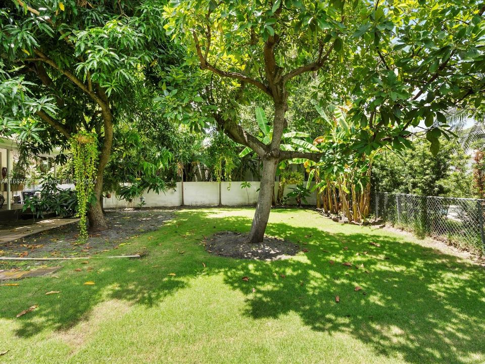 Space for pool and backyard oasis.