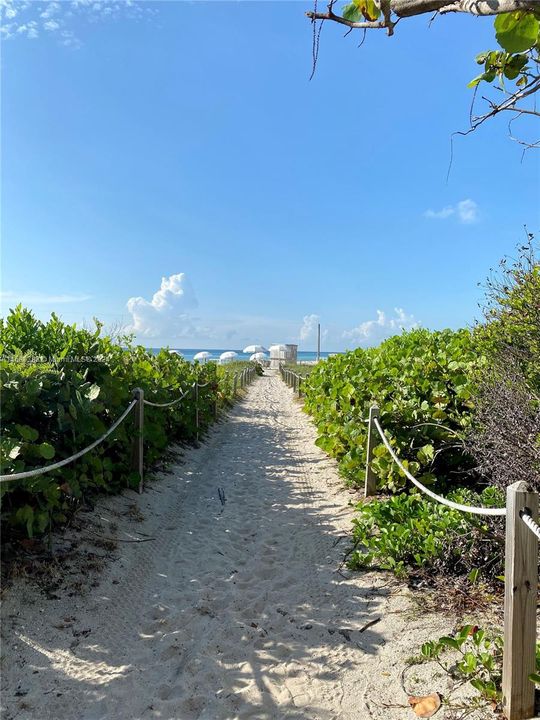 BEACH ACCESS