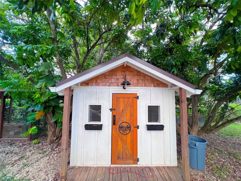 Walk-in Chicken Coop