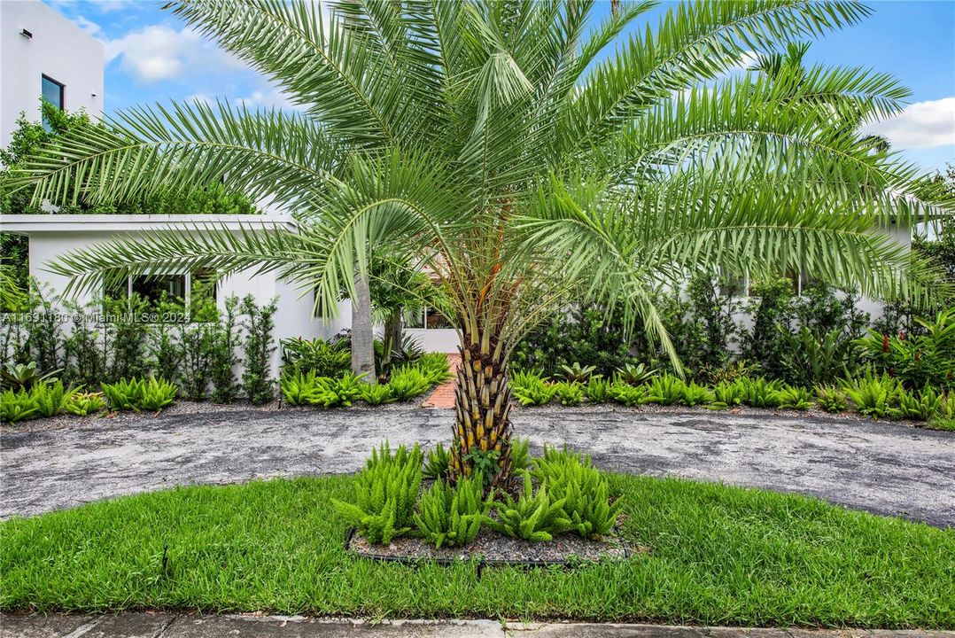 Tropical garden