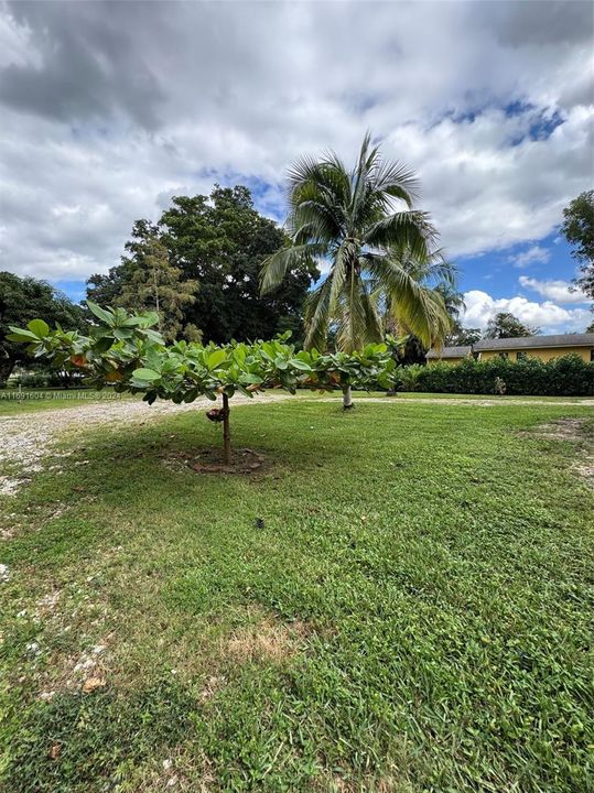 For Sale: $1,199,000 (4 beds, 2 baths, 1930 Square Feet)