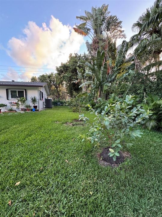 For Sale: $1,199,000 (4 beds, 2 baths, 1930 Square Feet)