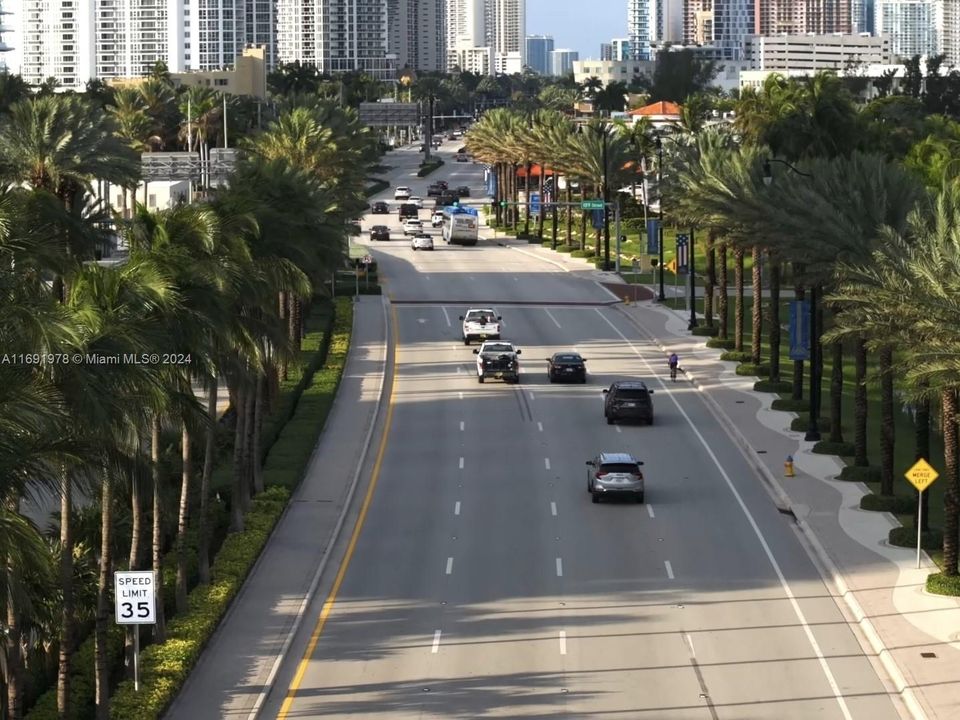 Sunny Isles Beach Views