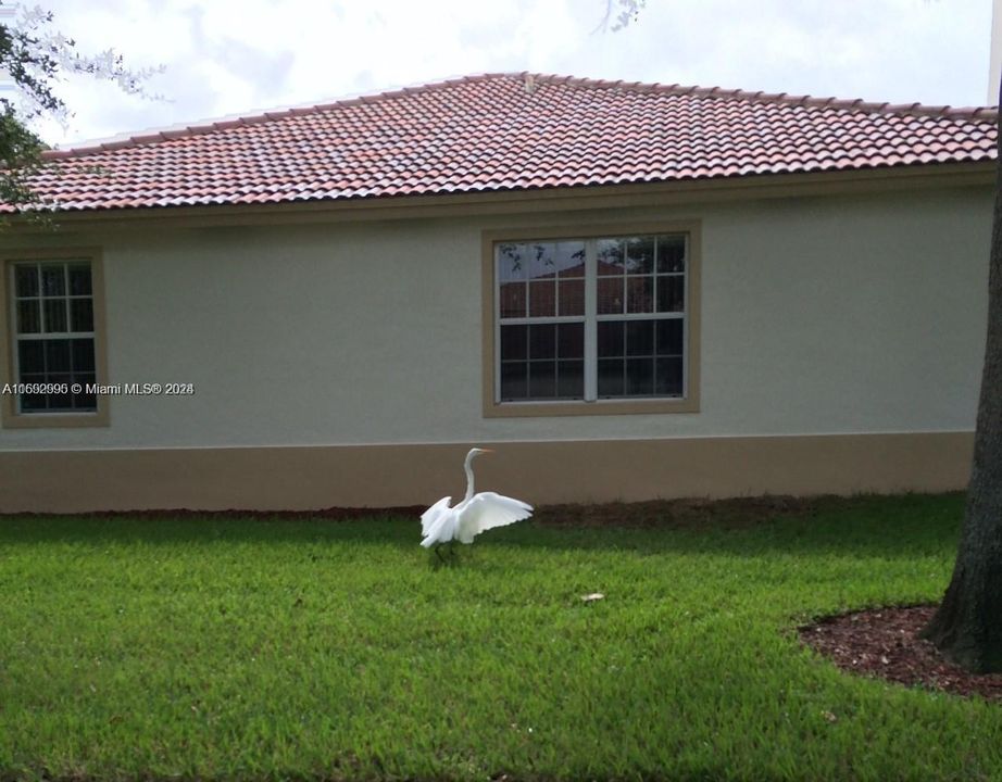 For Rent: $3,750 (3 beds, 2 baths, 2290 Square Feet)