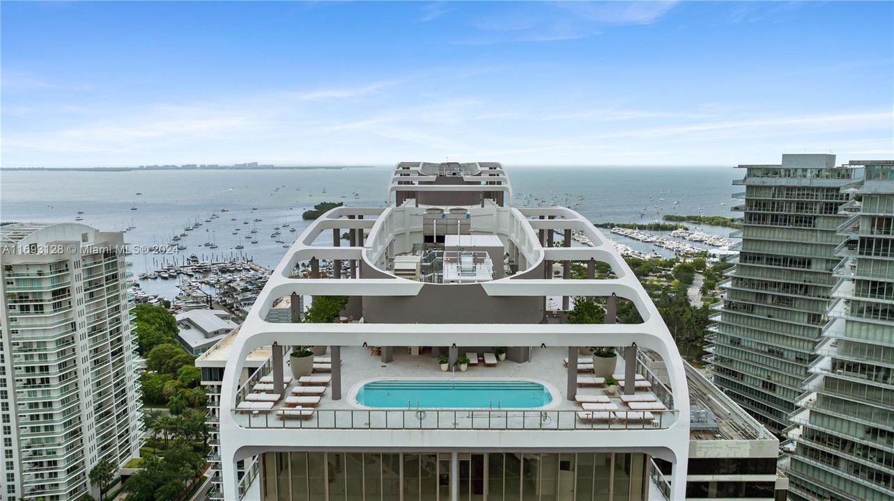 Rooftop bar and pool