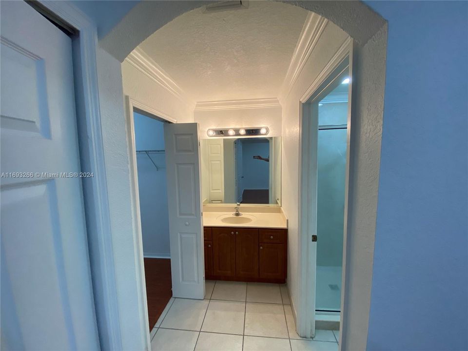 Master Closet-Sink-Bathroom area