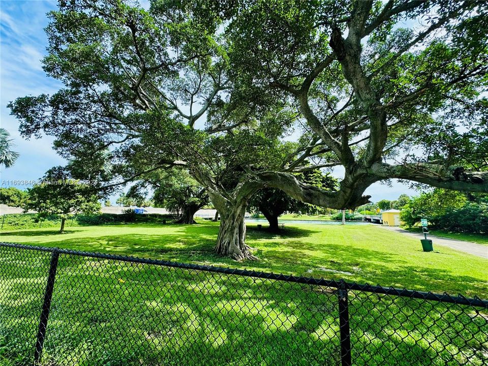 Park located right next to the building