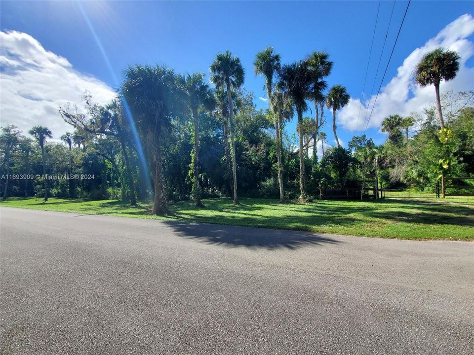 Gate and front of lot and Live Oak Ln