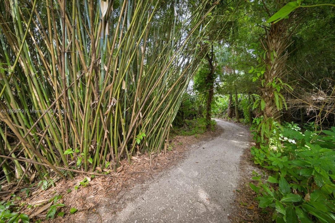 Gravel path. Around 2000ft of carved paths surrounded by nature