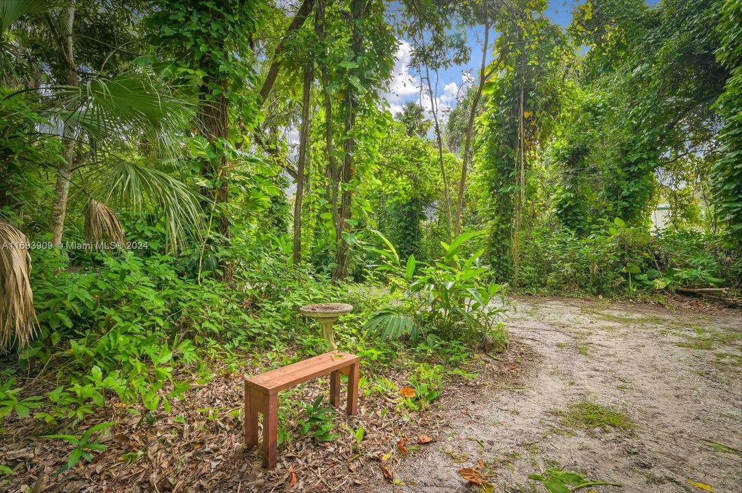 Gravel path. Around 2000ft of carved paths surrounded by nature