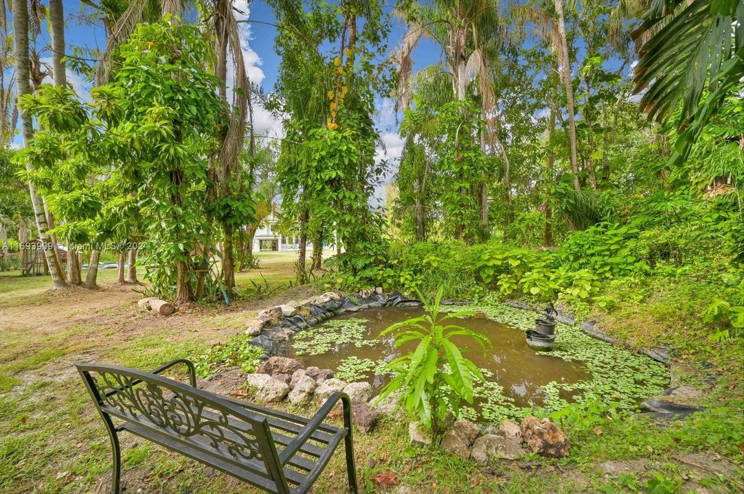 Gravel path and fish pond