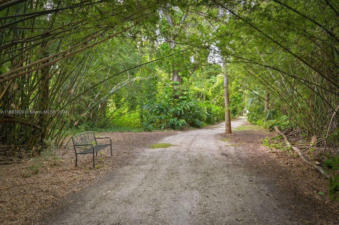 Gravel path. Around 2000ft of carved paths surrounded by nature