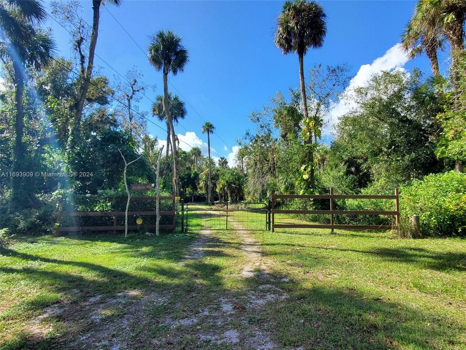 Gate on Live Oak Lane