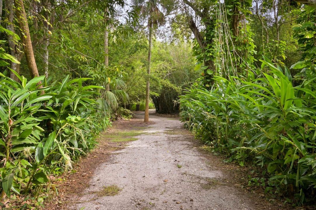 Gravel path. Around 2000ft of carved paths surrounded by nature